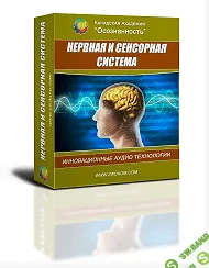 [Алла и Игорь Ревенко] Нервная, сенсорная система и качество мышления (программа для женщин)