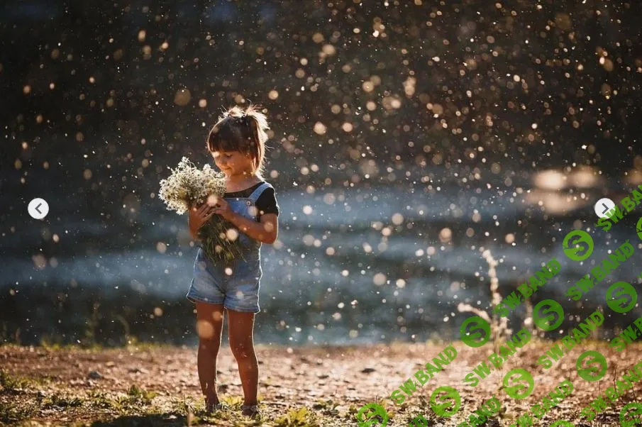 [Amlab] Все курсы от Amlab (2019)