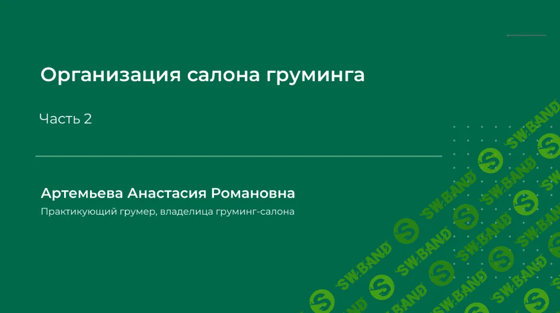 [Анастасия Артемьева] Организация салона груминга (2024)