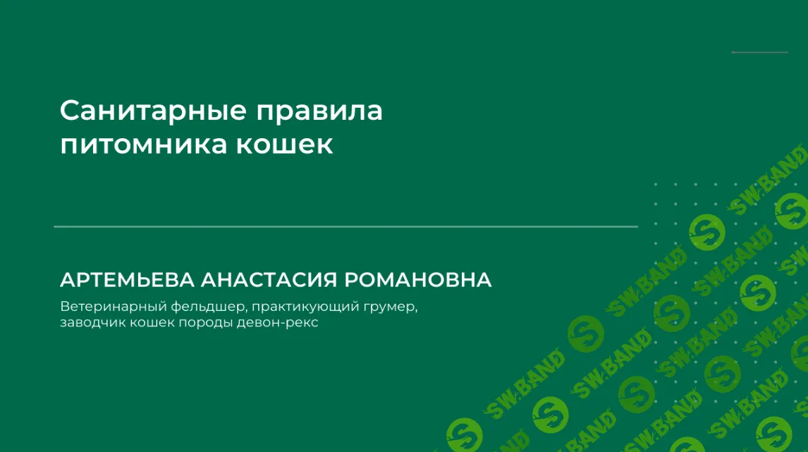 [Анастасия Артемьева] Санитарные правила питомника кошек (2024)