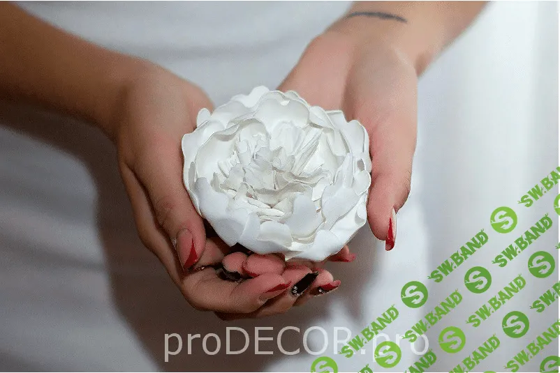 [Анастасия Панеева] Пионы из Ревелюра