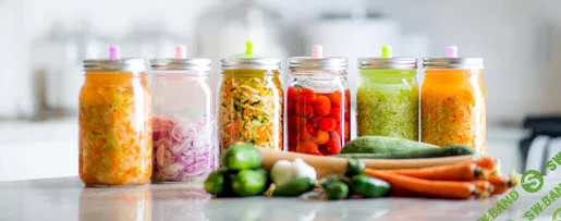 [Анастасия Родионова] Ферментация от биотехнолога (2020)