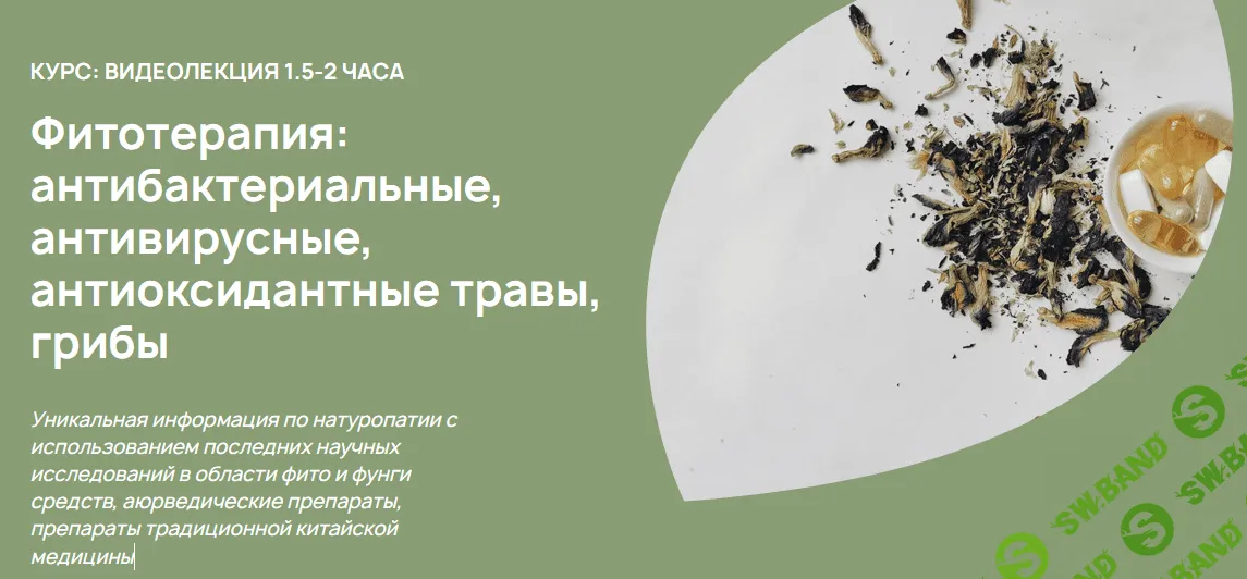 [Анастасия Родионова] Фитотерапия: антибактериальные, антивирусные, антиоксидантные травы, грибы (2023)