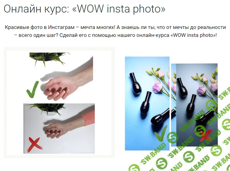[Анастасия Софрина] WOW Insta Photo (2018)