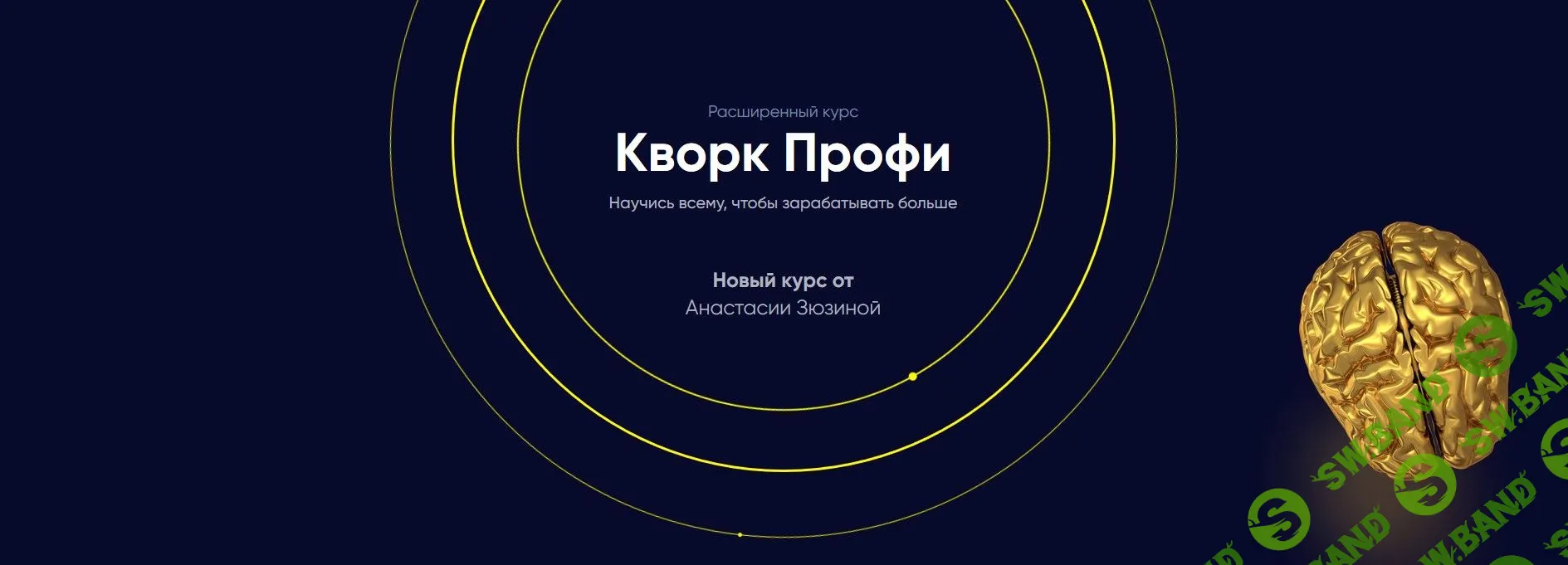 [Анастасия Зюзина] Кворк Профи. Научись всему, чтобы зарабатывать больше (2019)