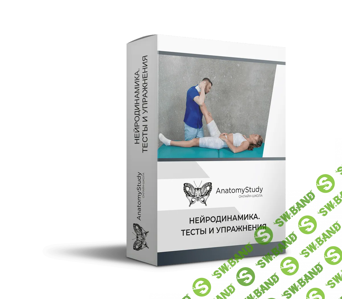 [Анатомия] [Андрей Богатырев] Нейродинамика. Тесты и упражнения (2021)