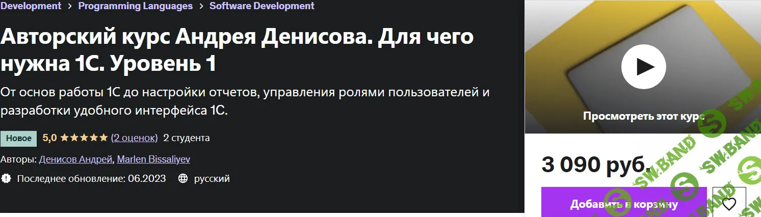 [Андрей Денисов] Авторский курс Андрея Денисова. Для чего нужна 1С. Уровень 1 (2023)