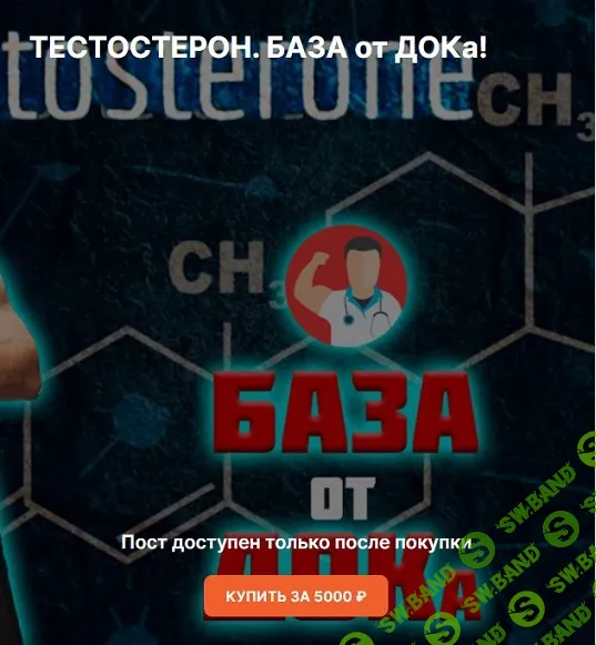 [Андрей Егоров] Тестостерон. База (2024)