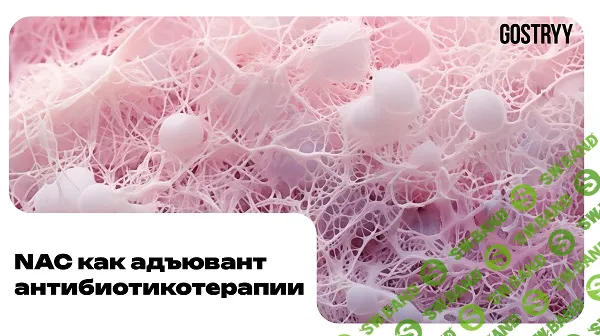 [Андрей Гострый] NAC как адьювент антибиотикотерапии (2025)