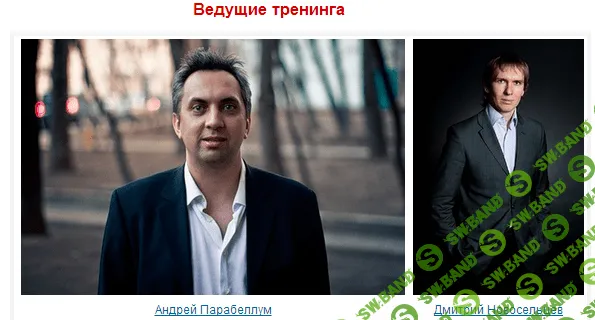 [Андрей Парабеллум, Дмитрий Новосельцев] Монетизация идей