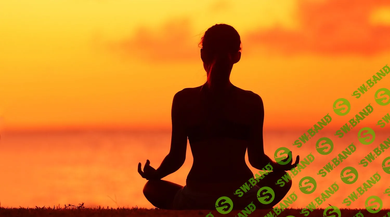 [Андрей Патрушев] Мудрый советник (2021)