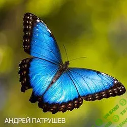 [Андрей Патрушев] Завершать начатое (2023)