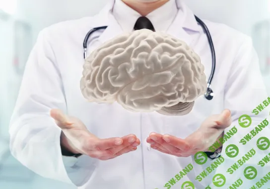 [Андрей Патрушев] Здоровье мозга (2024)