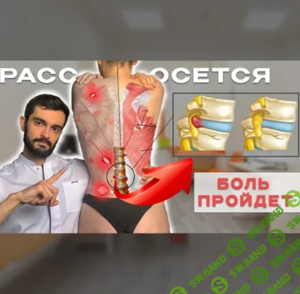 [Андрей Павлов] Фундамент здоровья (2024)