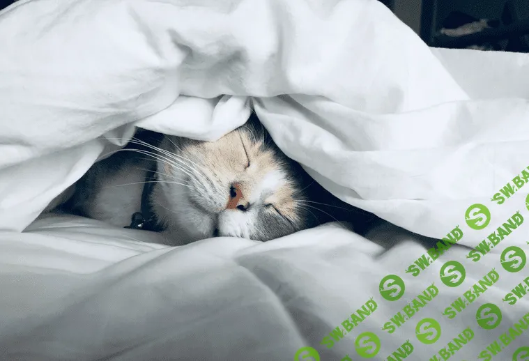 [Андрей Ткаченко] Здоровый сон (2021)