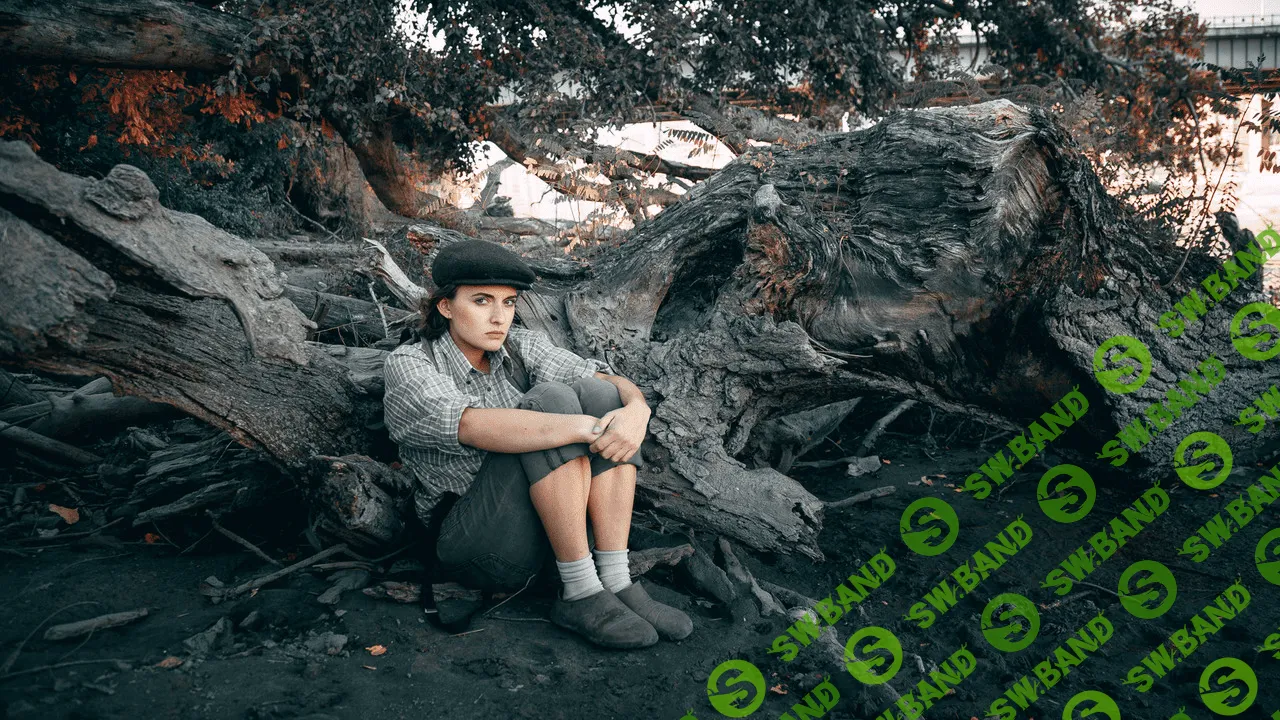 [Андрей Васильев] 50 авторских художественных пресетов для Lightroom