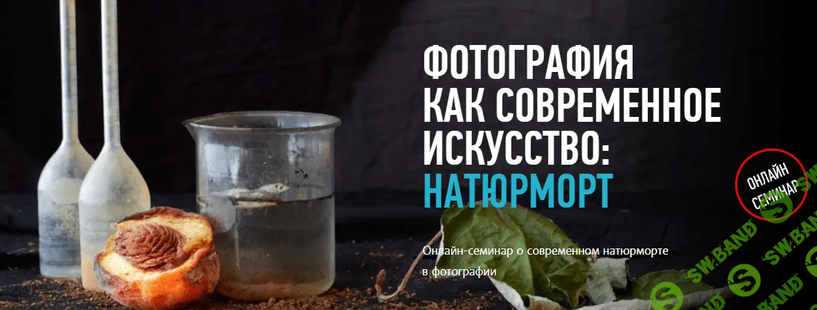 [Андрей Зейгарник] Фотография как современное искусство: Натюрморт (2017)