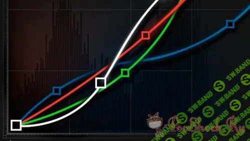 [Андрей Журавлев] Adobe Photoshop paбoтa c кpивыми. Пpaктикa пpименения (Видеo-куpc)