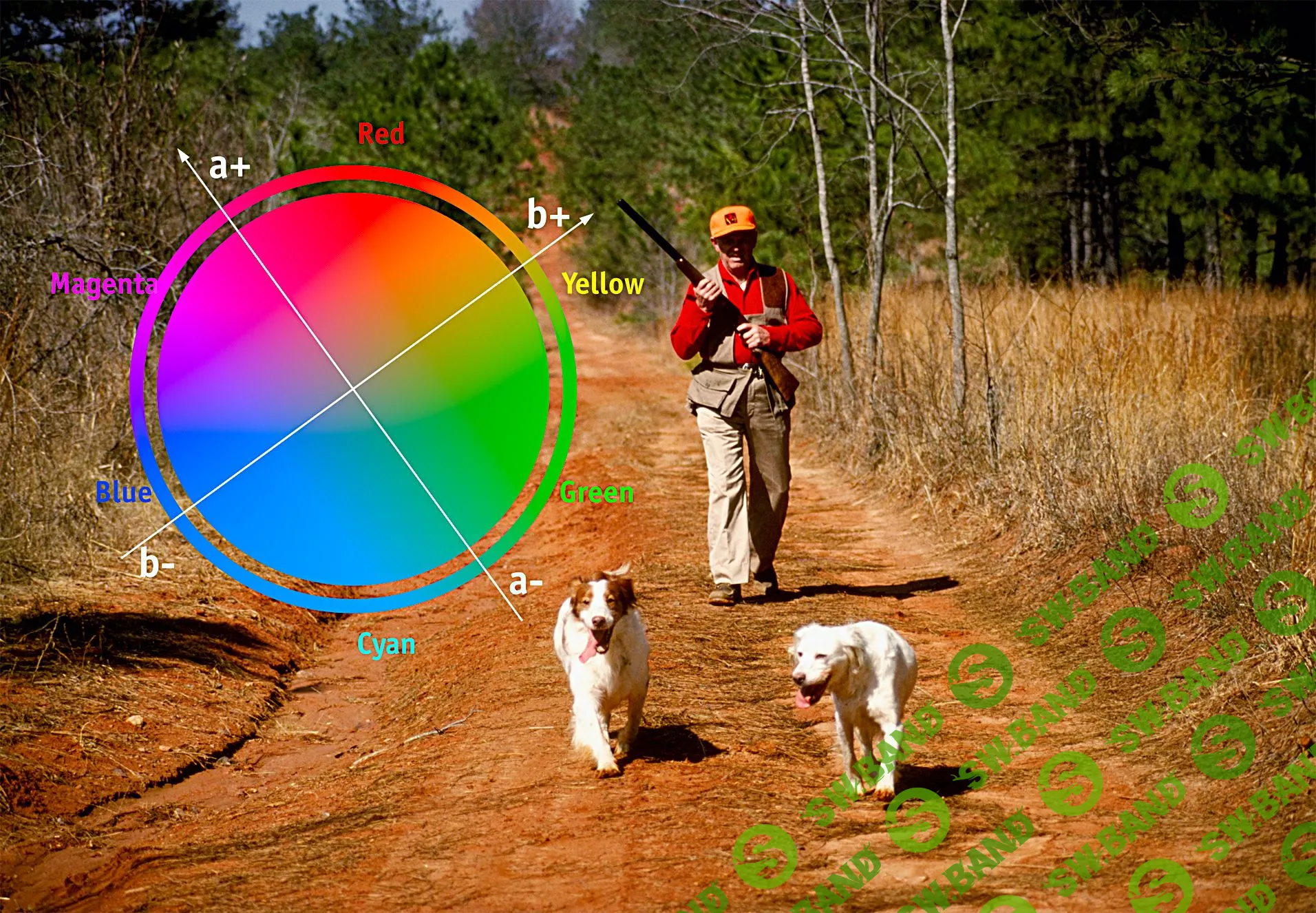 [Андрей Журавлев] ЦВЕТОВАЯ МОДЕЛЬ LAB - ПРАКТИКА ПРИМЕНЕНИЯ (2019)