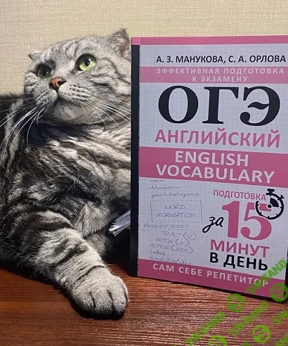 [Англомастер, Светлана Орлова, Аида Манукова] Лексика для ОГЭ. Интерактивный курс (2024)