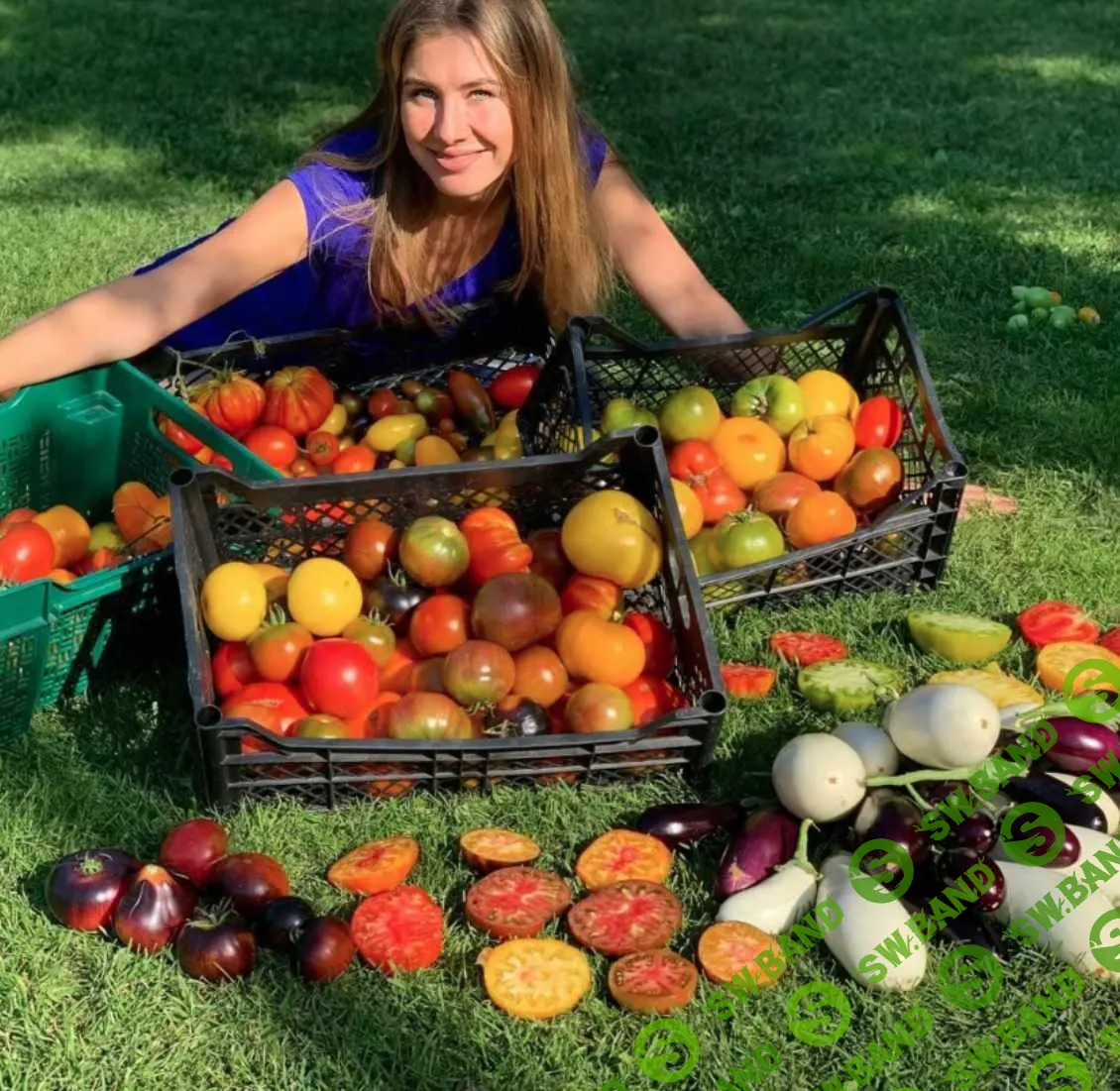 [Анна Акинина] Как вывести свой участок на самообеспечение и начать на нем зарабатывать (2020)