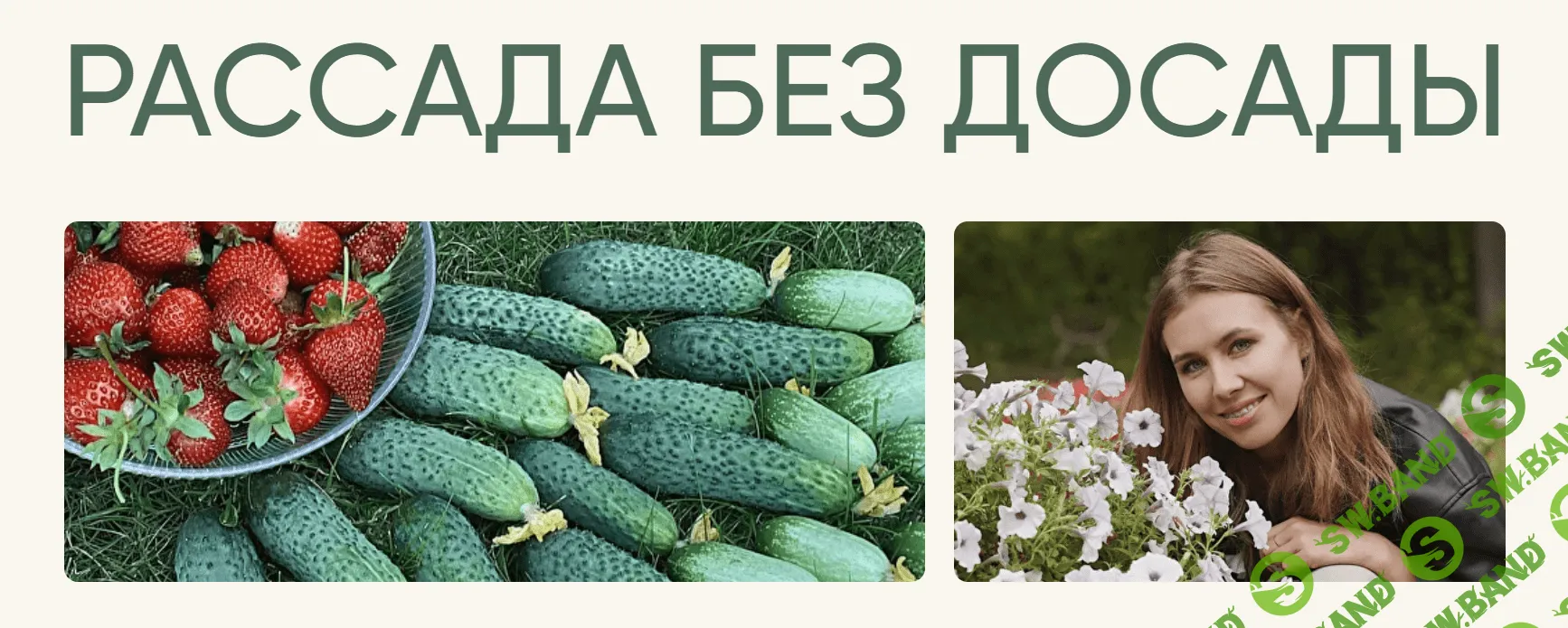 [Анна Акинина] Рассада без досады. Овощная рассада. Новые культуры (2023)