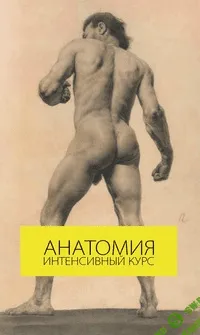 [Анна Белоусова] Пластическая анатомия - Онлайн интенсив