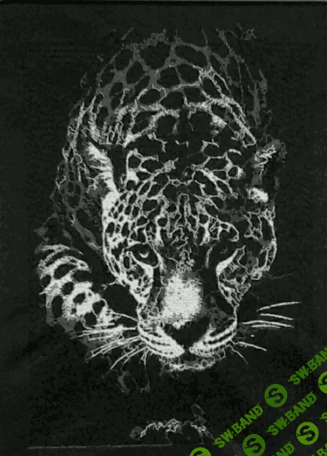 [Анна Ефимова] Ягуар на черном (2023)