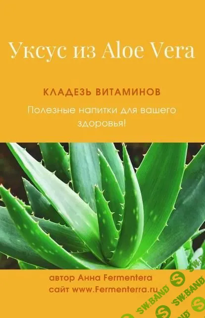 [Анна Fermenterra] Уксус из алоэ вера (2023)