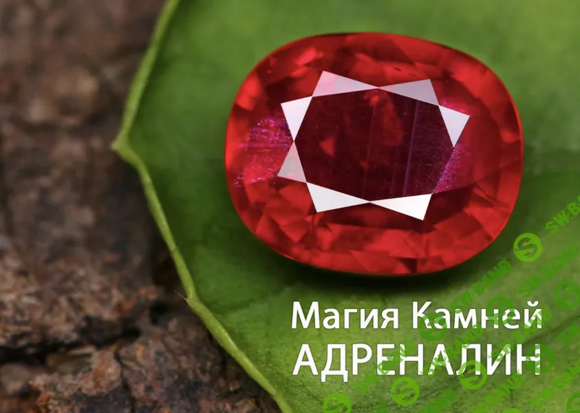 [Анна Гак] Магия камней [Тариф Адреналин]