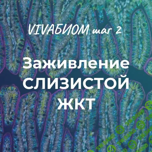 [Анна Кортунова] Vivabiom шаг 2 Заживление слизистой ЖКТ (2023)