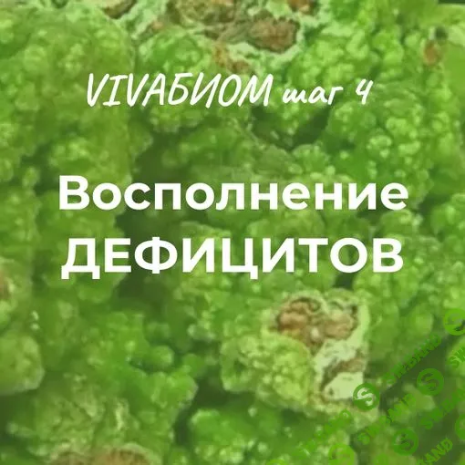 [Анна Кортунова] Vivabiom шаг 4 - Восполнение дефицитов (2023)