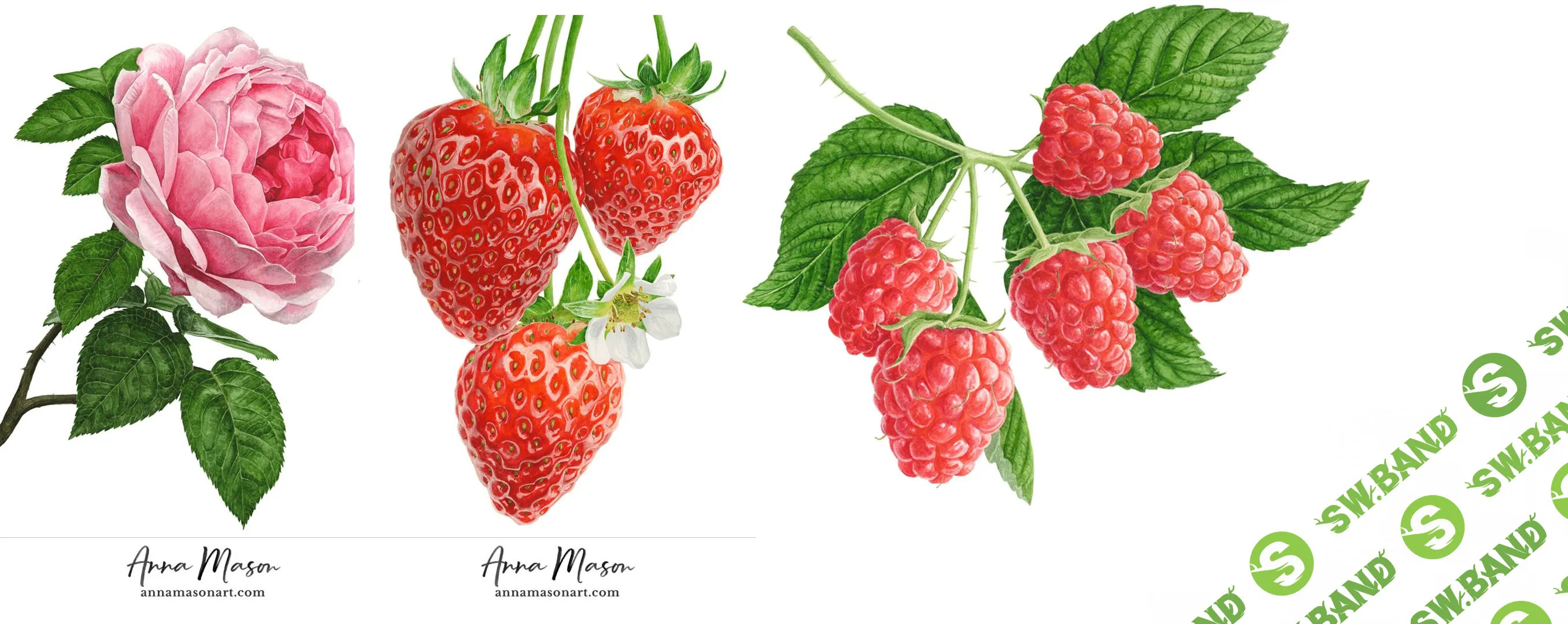 [Anna Mason] Школа акварели (2017)