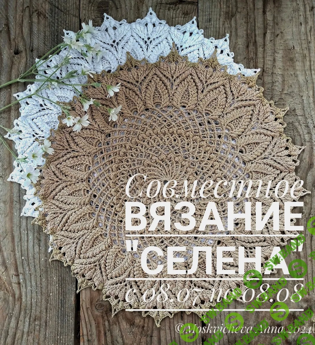[Анна Москвичева] Совместное вязание салфетки Селена (2024)
