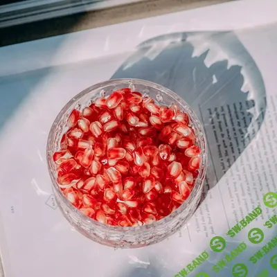 [Анна Павлычева] Урок по анемии (2026)