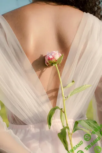 [Анна Павлычева] Урок по остеопорозу (2025)