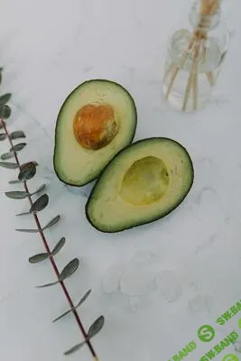 [Анна Павлычева] Урок-практикум по снижению холестерина (2025)