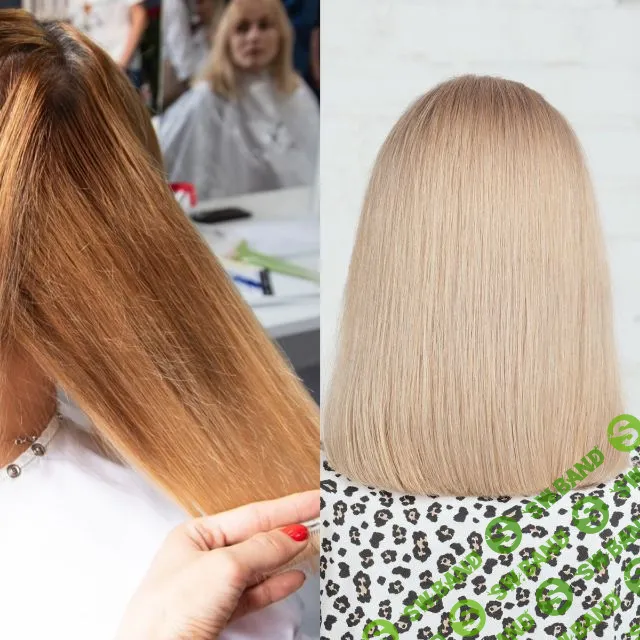 [Анна Пинес] Пакет 5. Исправляй легко + Color change + Прогнозируемый результат это реально + Репигментация (2020)