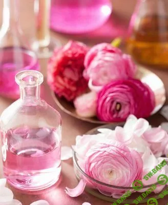 [Анна Семенова] Авторская парфюмерия (2018)