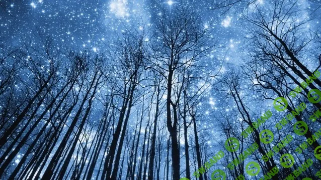 [Анна Староминская] Астрология налегке (декабрь 24 - январь 25) (2024)