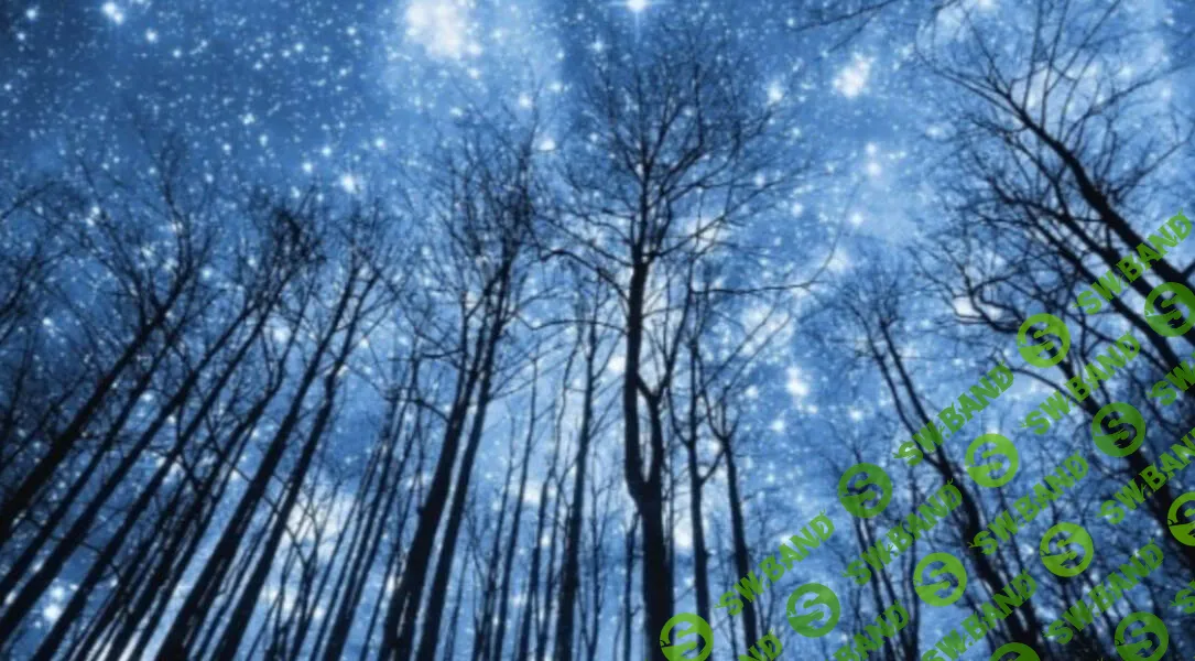 [Анна Староминская, Константин Дараган] Астрология налегке (август-сентябрь 2025). Тариф Очарованный небом (2025)