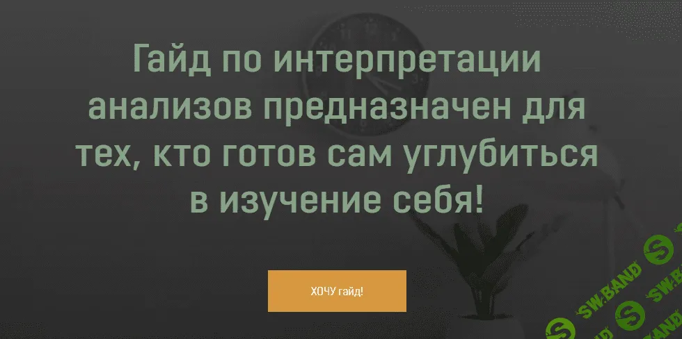 [Анна Тищенко] Гайд «Расшифровка анализов» (2021)
