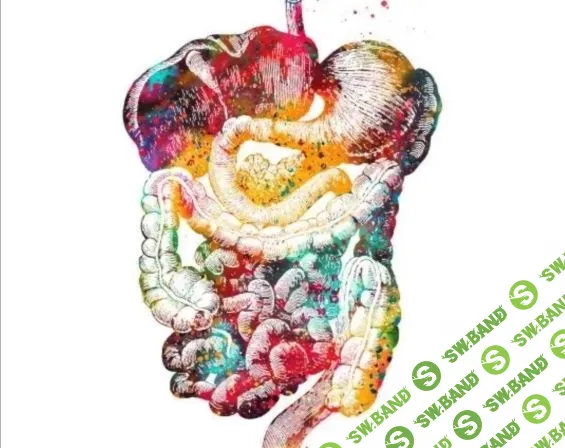 [Анна Тищенко] Здоровый ЖКТ (2021)