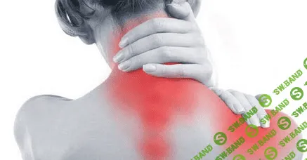 [Анна Воронина, Антон Шапочка] Шея. Проблема 21 века 2018