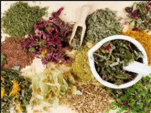 [Анна Зименская] Травы для здоровья всей семьи на каждый день