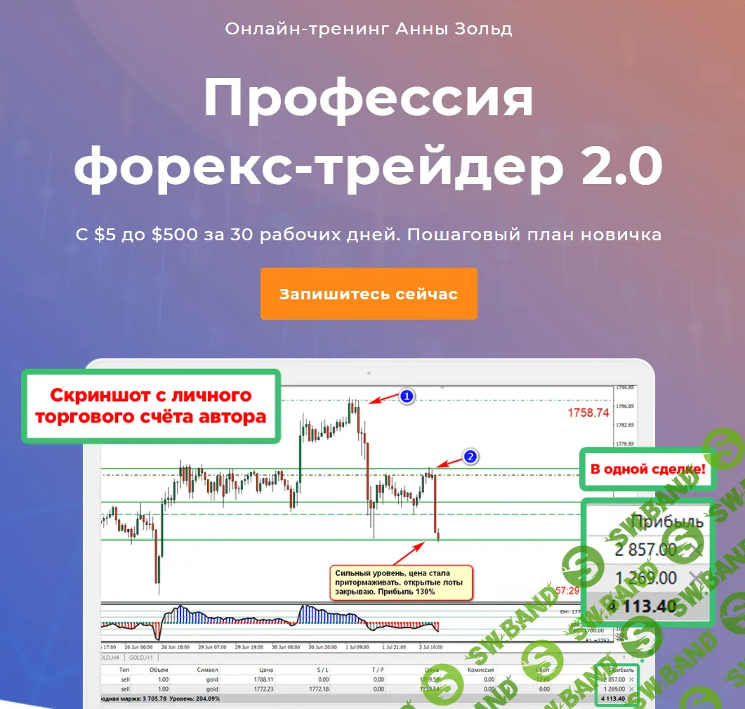 [Анна Зольд] Профессия форекс-трейдер 2.0 (2020)