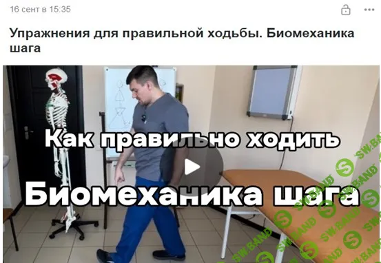 [Антон Алексеев] Тренировка правильной ходьбы (2024)