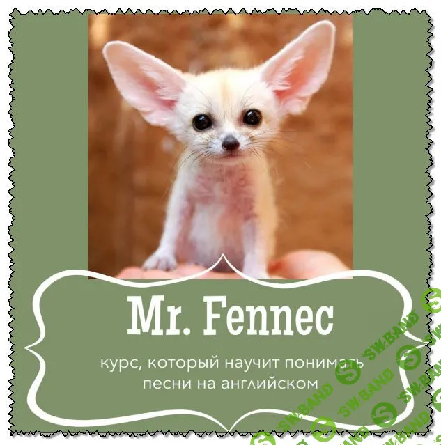 [Антон Брежестовский] Курс Mr. Fennec (2020)