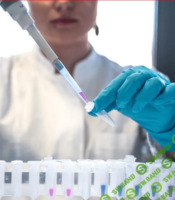 [Антон Поляков] Эксклюзивный флагманский курс - Расшифровка медицинских анализов (2023)