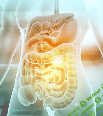 [Антон Поляков] Восстановление желудочно-кишечного тракта (2023)